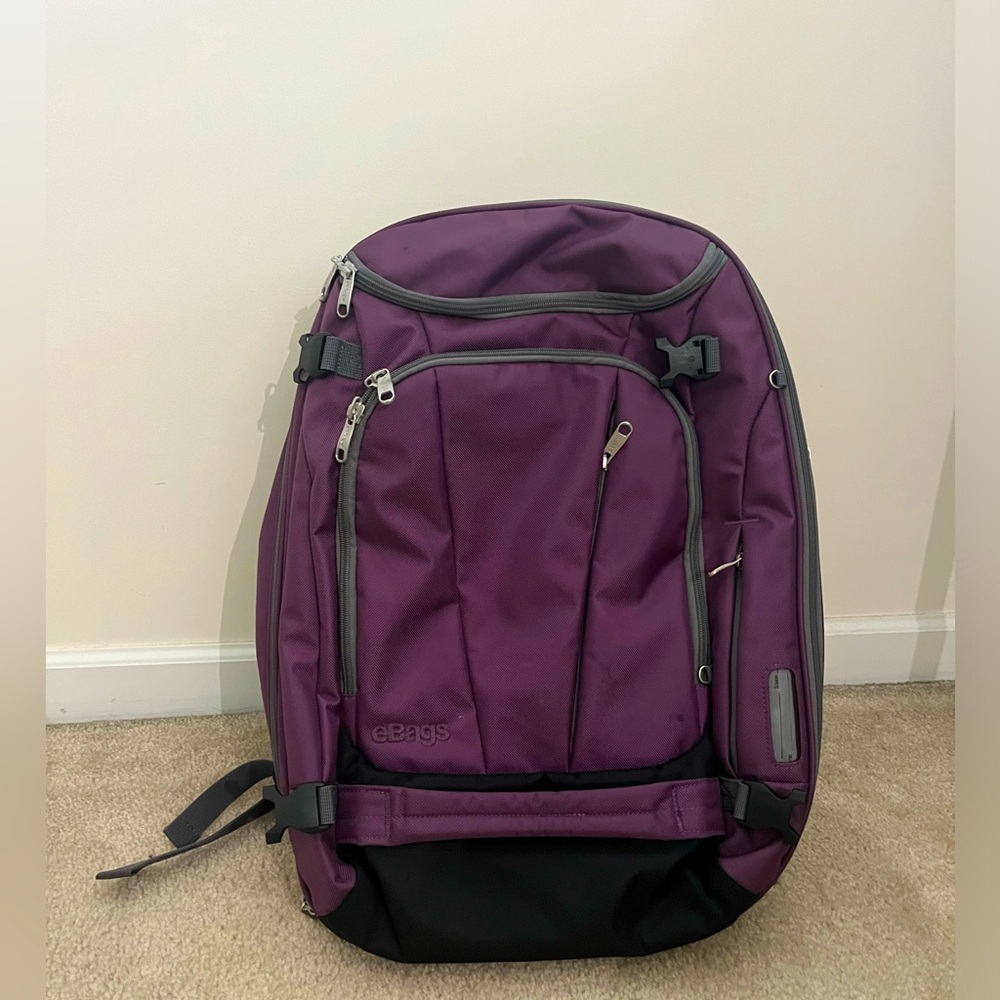eBags Purple Mother Lode Travel Backpack